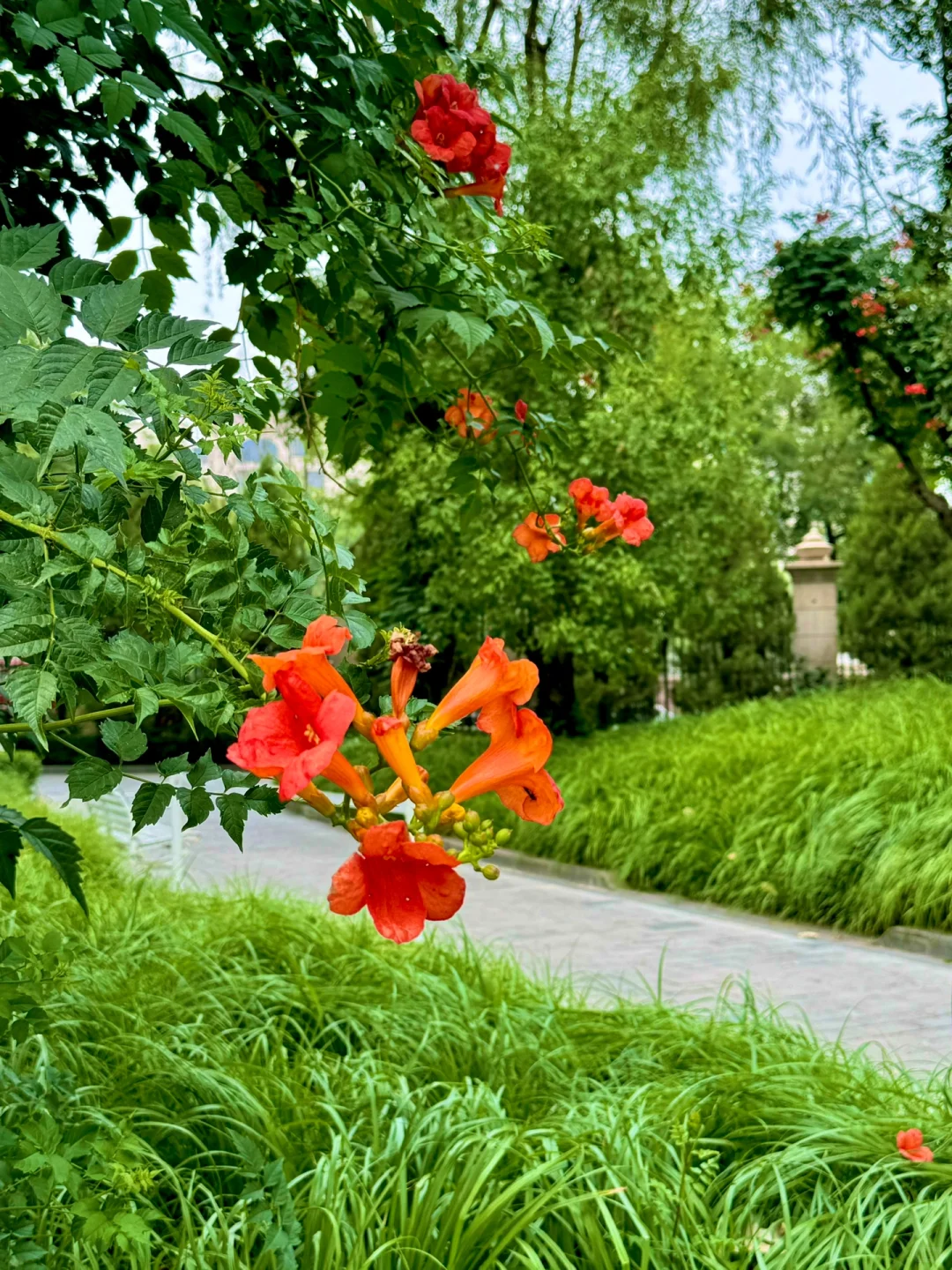 忽而夏至🍃