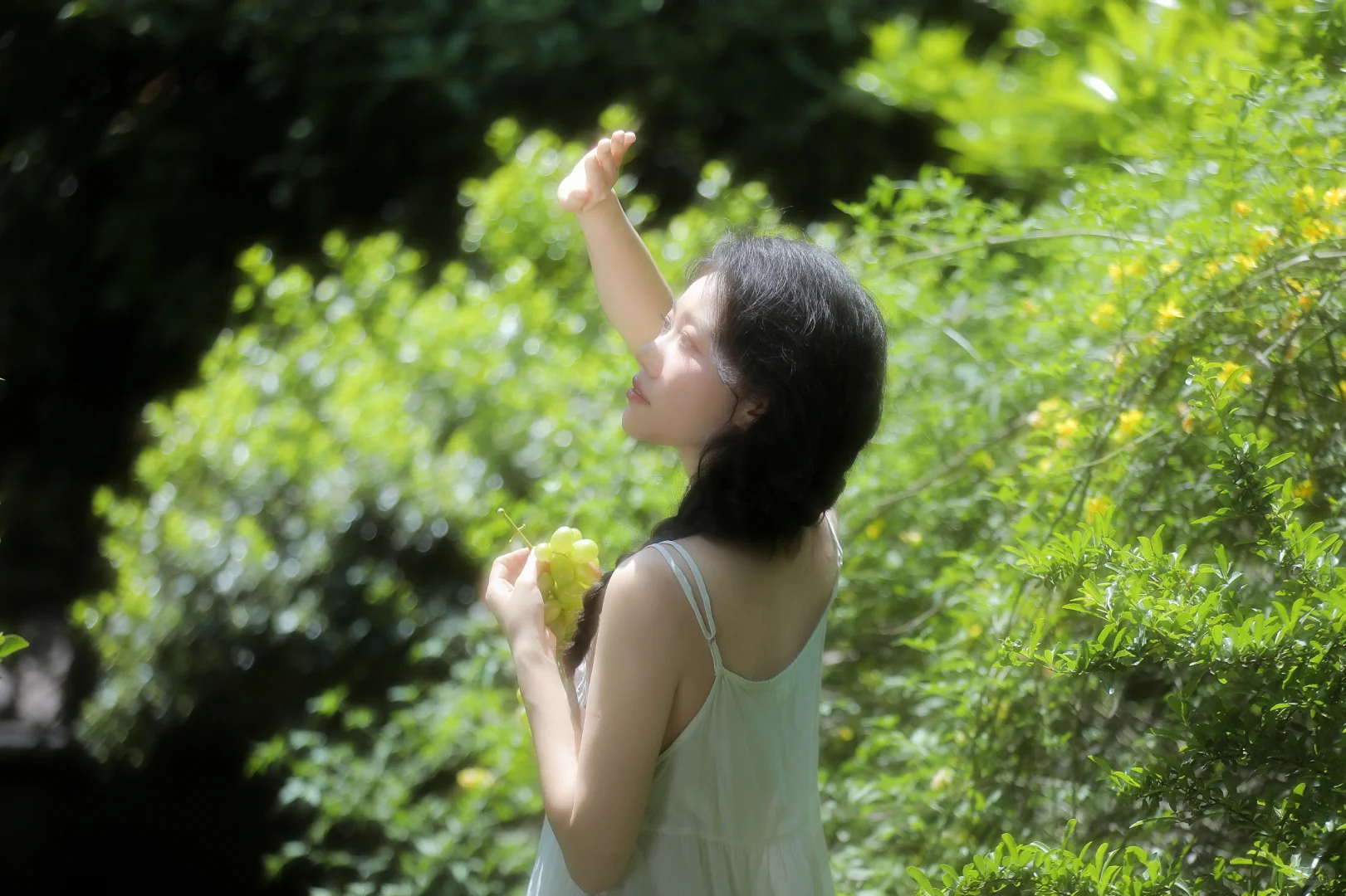 夏至未至🍃
