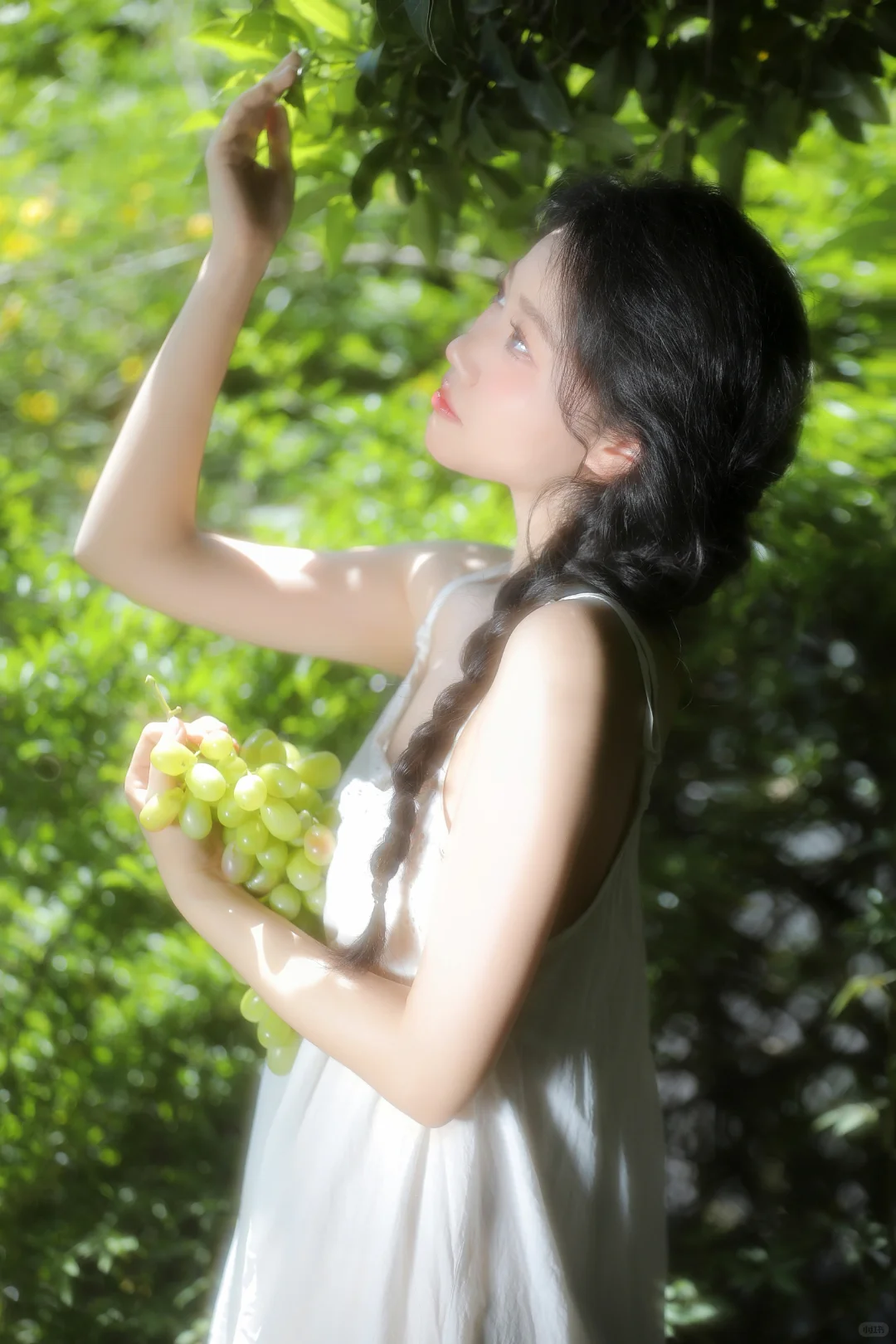 夏至未至🍃