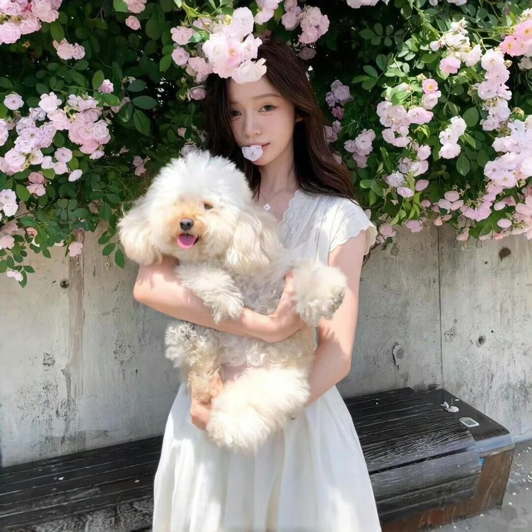 明媚感女头
