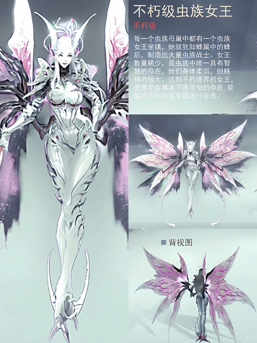 不朽虫族女王 银雪侯原画展示