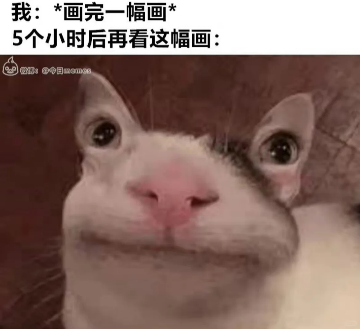 美术生才懂的梗图(7)