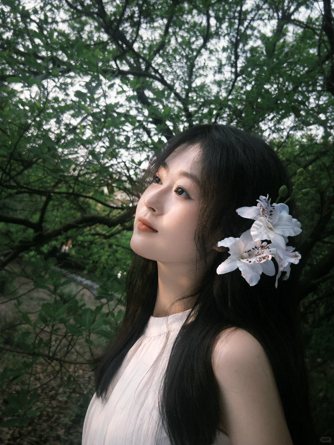 第三次摄影 算是有天赋吗