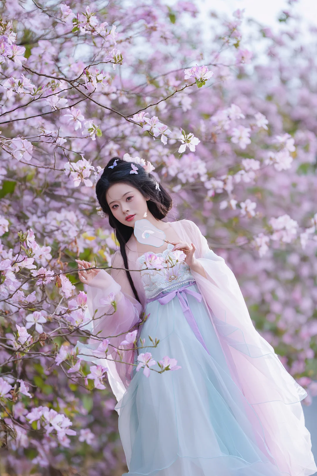 一不小心拍到了广东的春天～