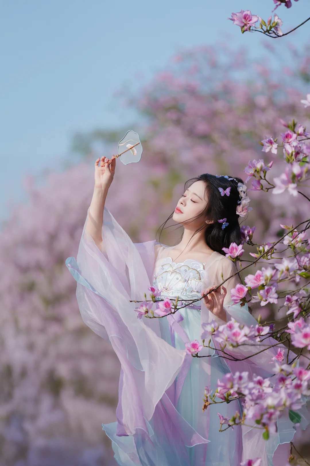 一不小心拍到了广东的春天～