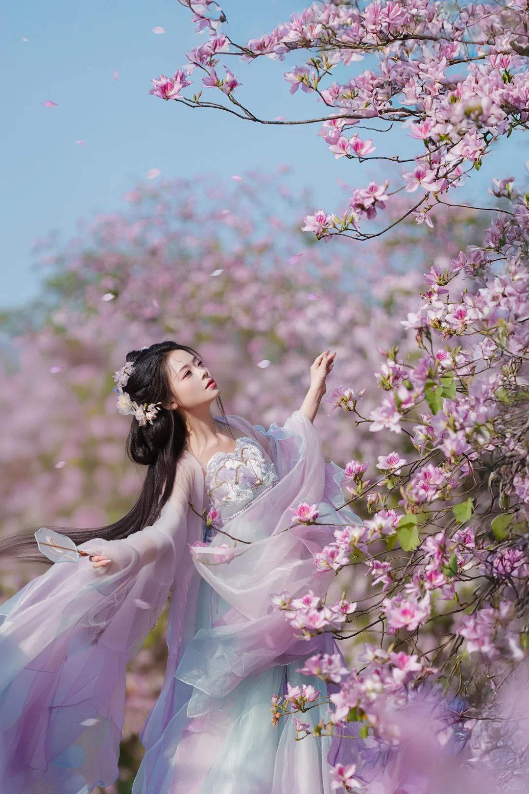一不小心拍到了广东的春天～