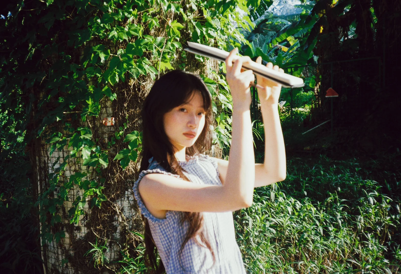 胶片有不一样的温度