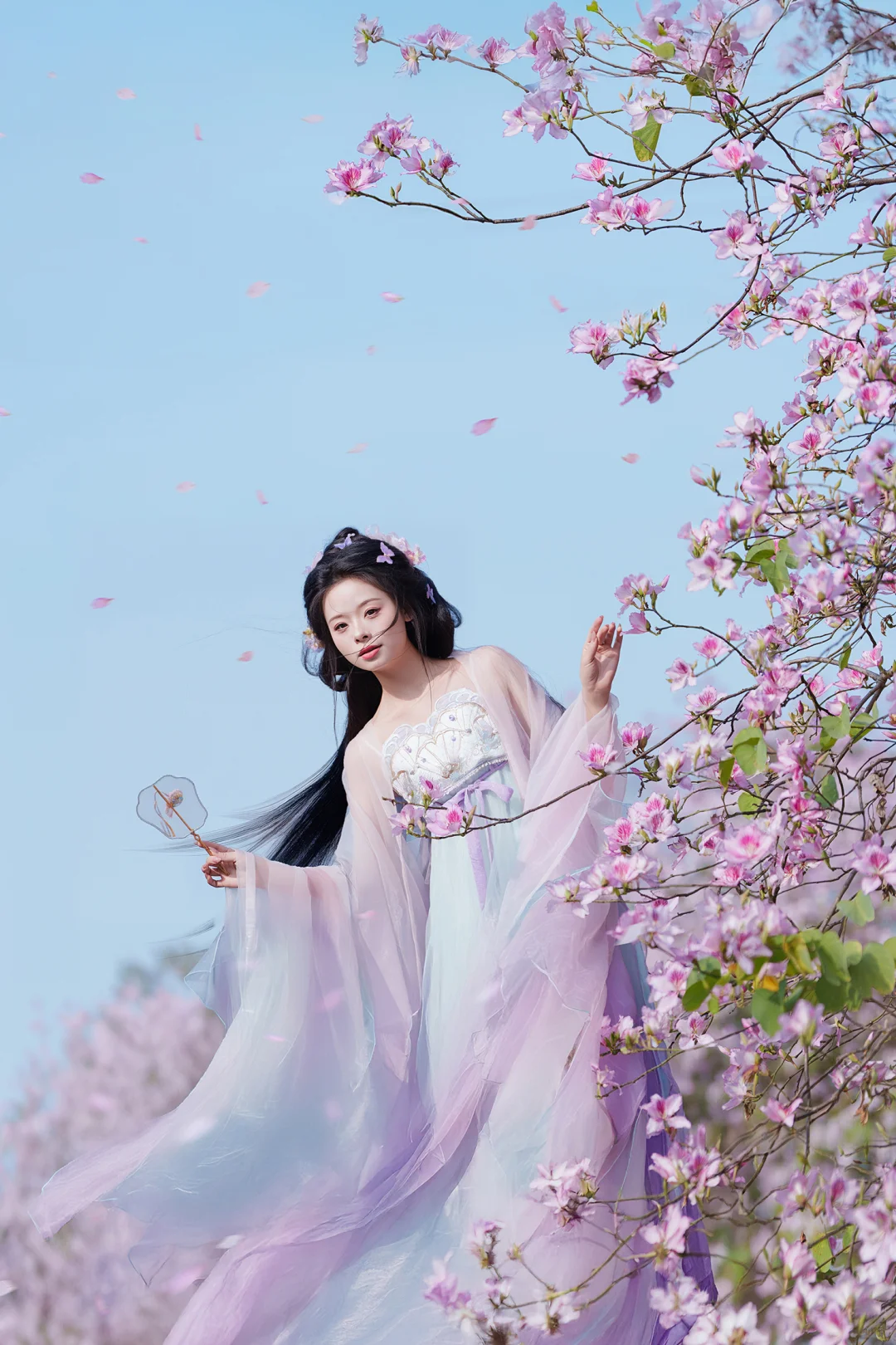 一不小心拍到了广东的春天～