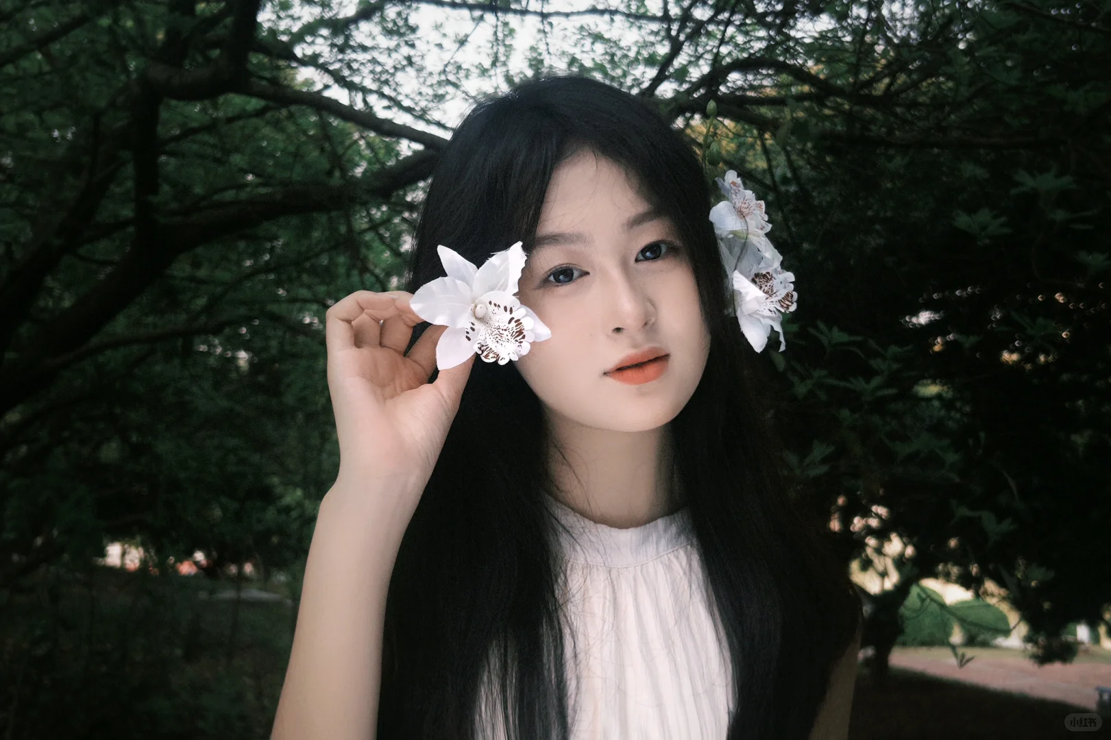 第三次摄影 算是有天赋吗