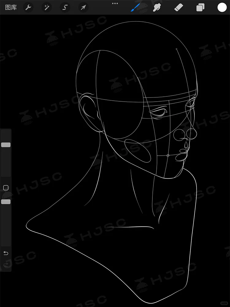 procreate多角度人体比例透视辅助线笔刷