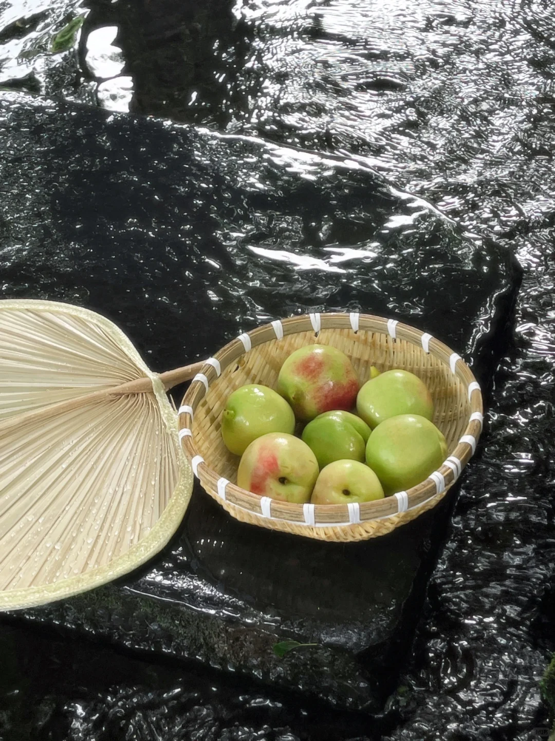 夏末青桃梦.