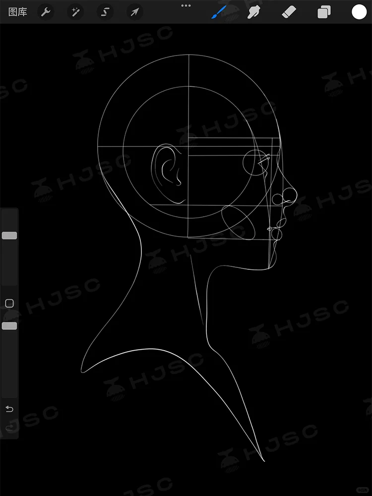 procreate多角度人体比例透视辅助线笔刷