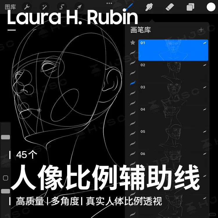procreate多角度人体比例透视辅助线笔刷