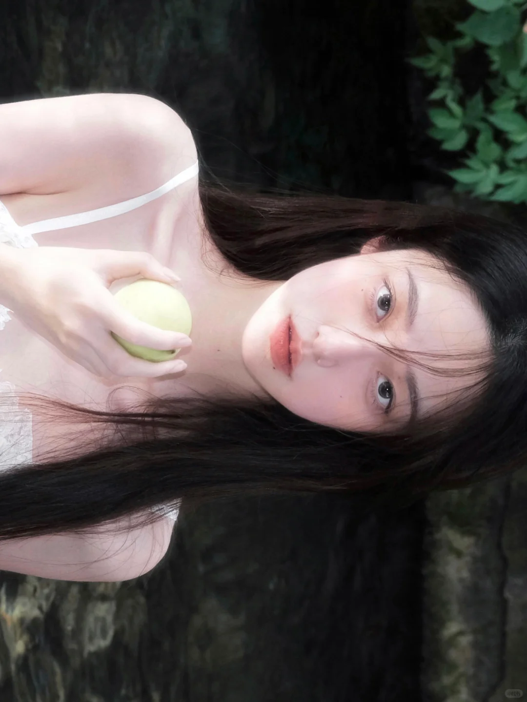 夏末青桃梦.