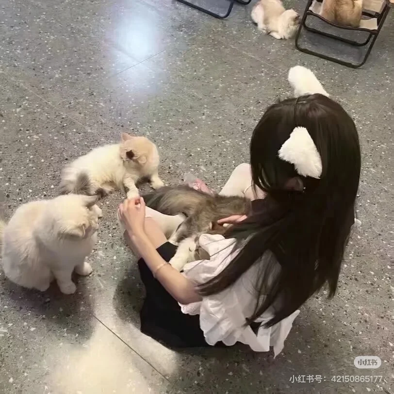 女头高颜值