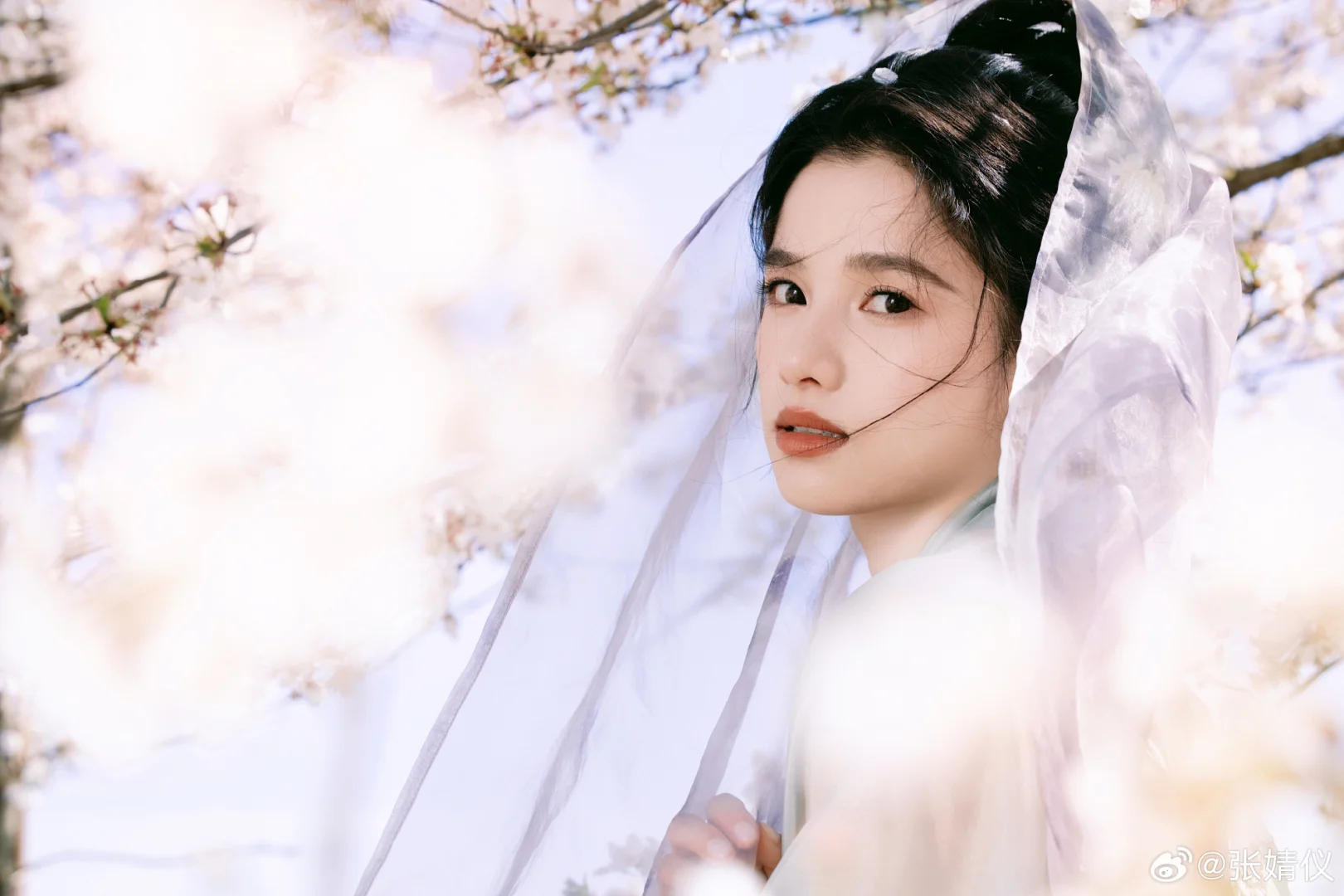 十二花神之不知道什么花