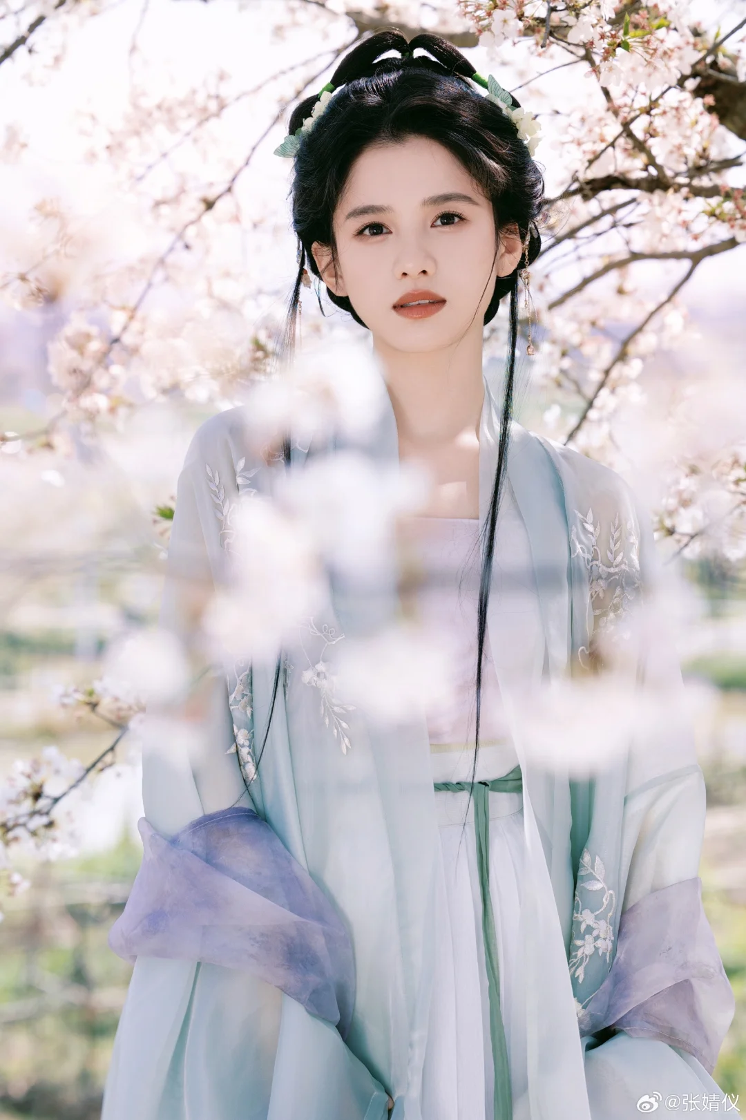 十二花神之不知道什么花