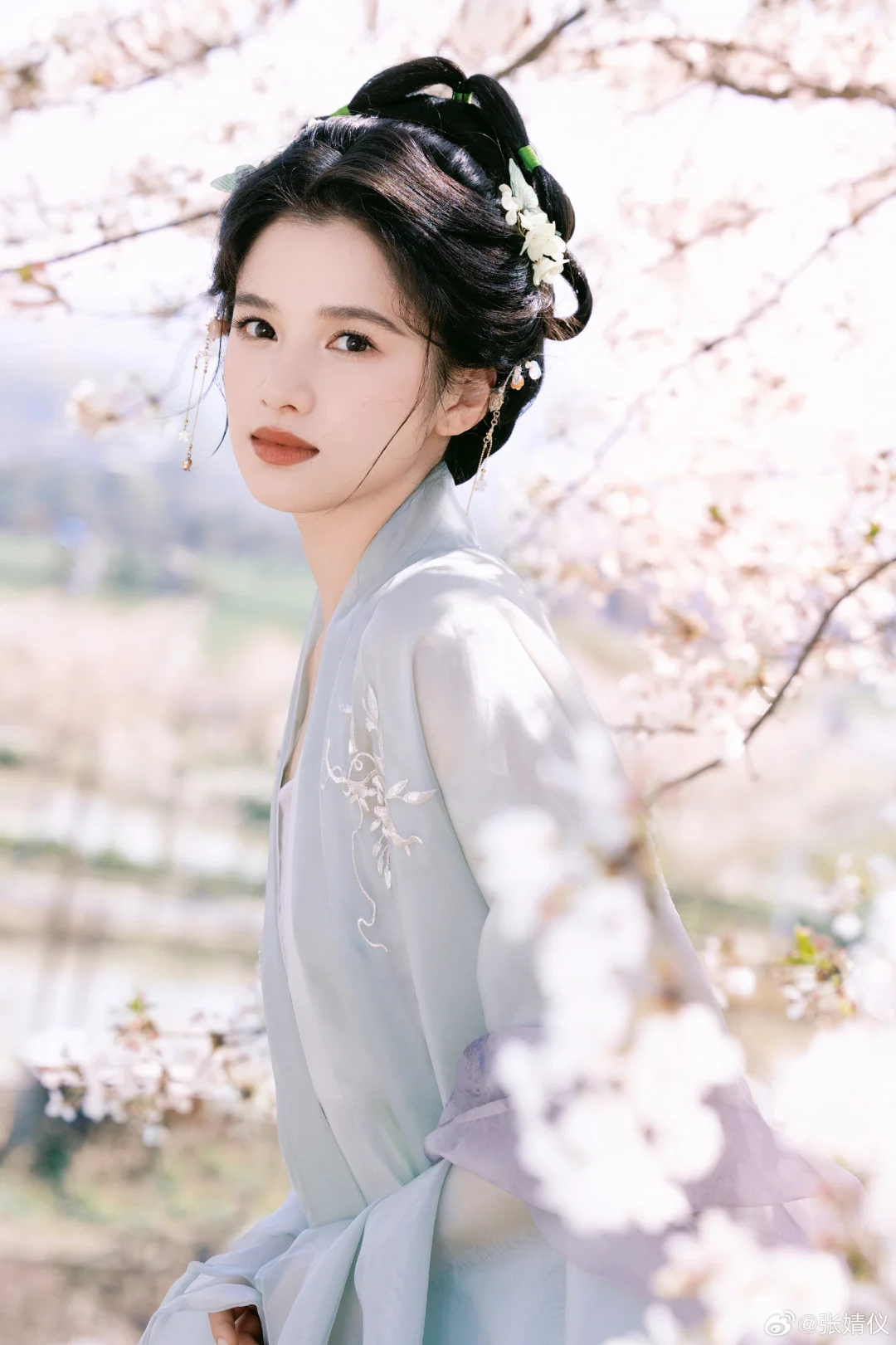 十二花神之不知道什么花