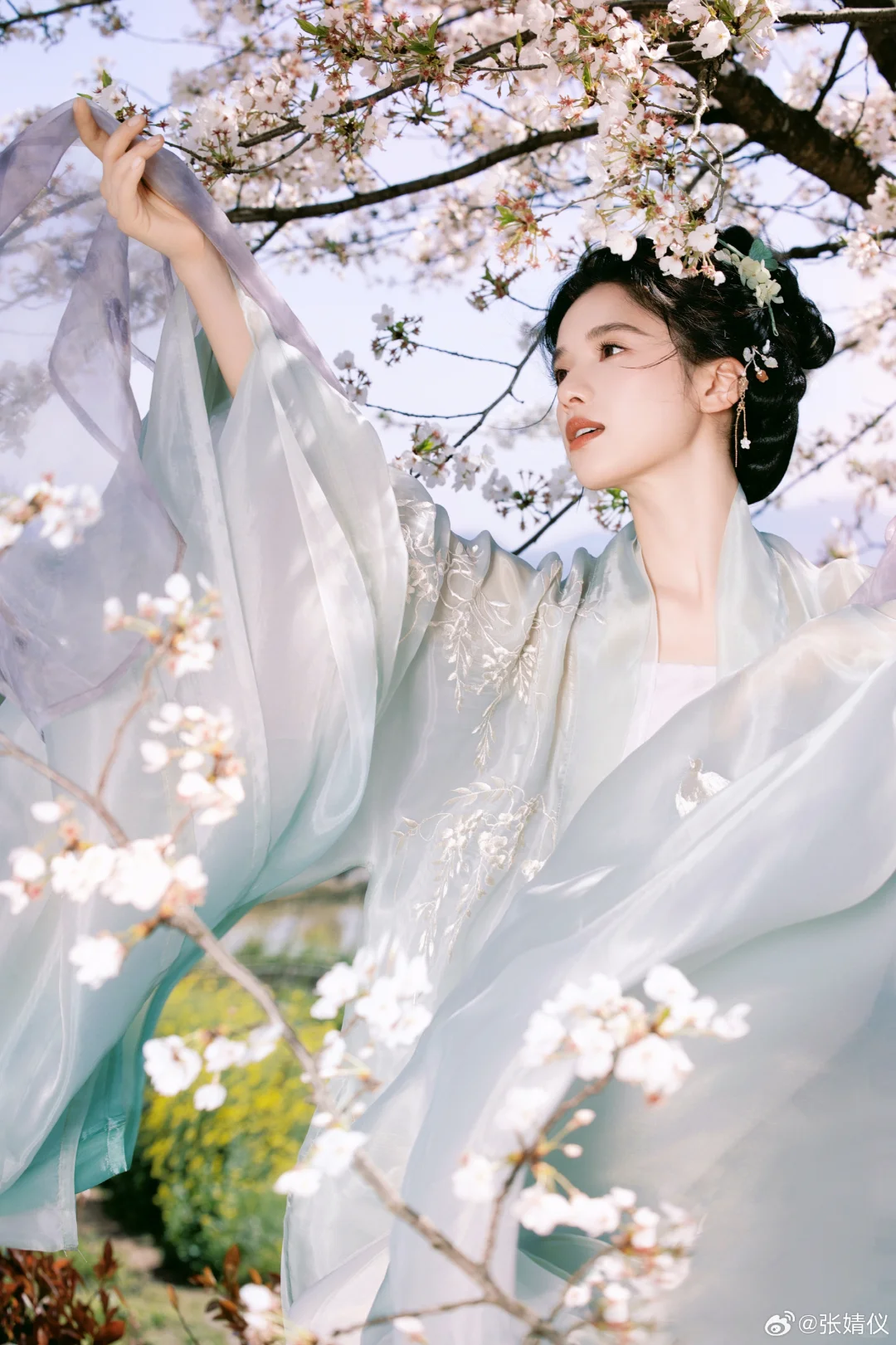 十二花神之不知道什么花