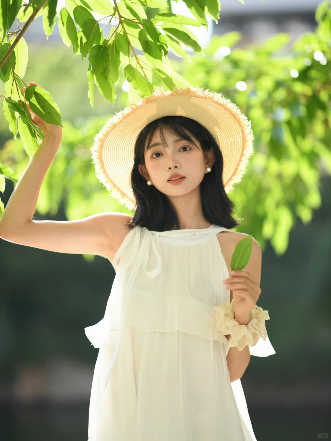 杜松混合茉莉的风 🍃 ⁺₊ ︎ ︎ 〰︎ ☀️
