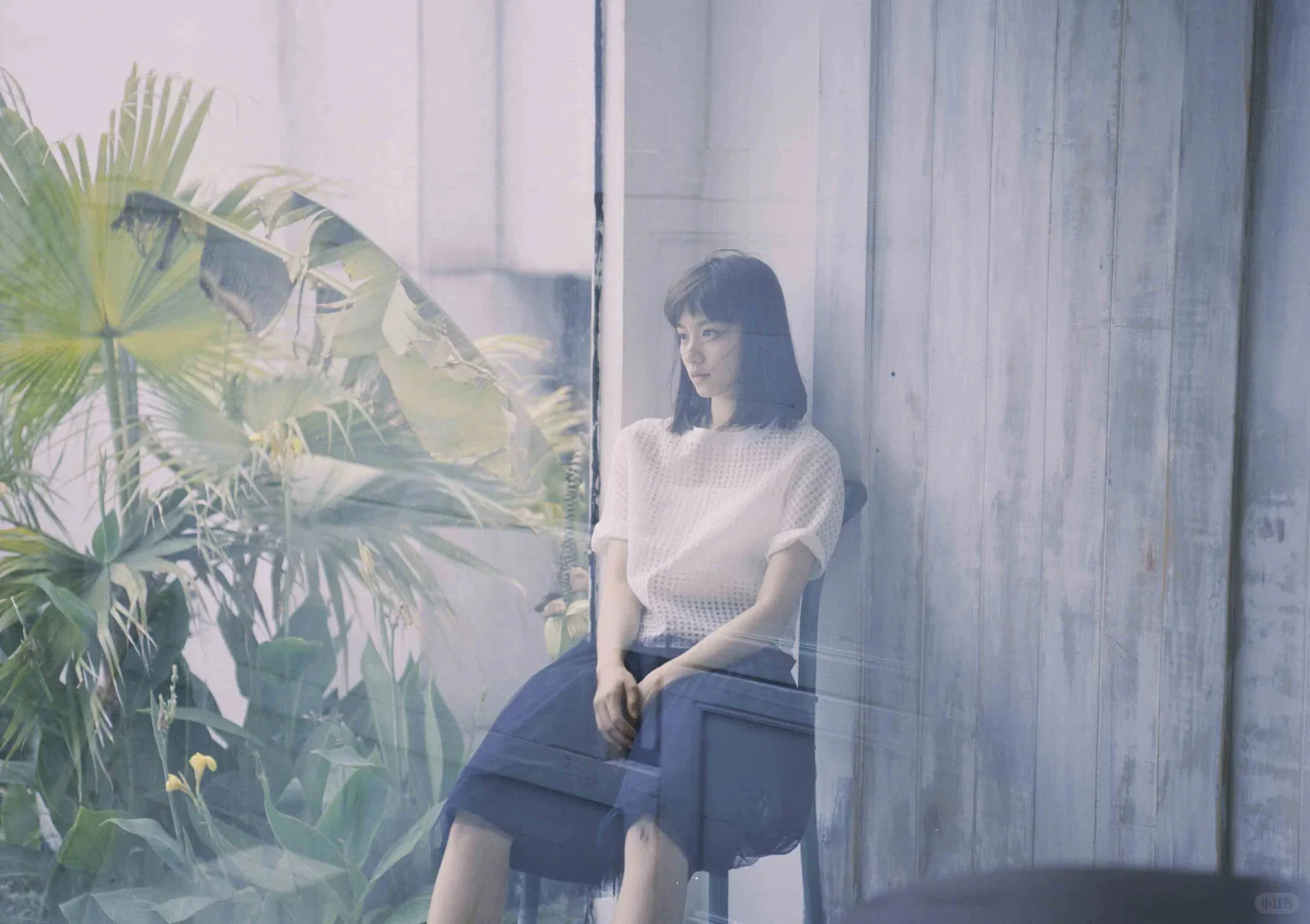 📷袁澧林