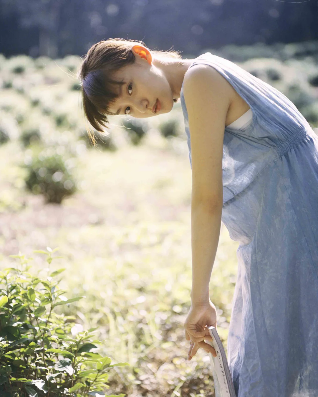 📷袁澧林
