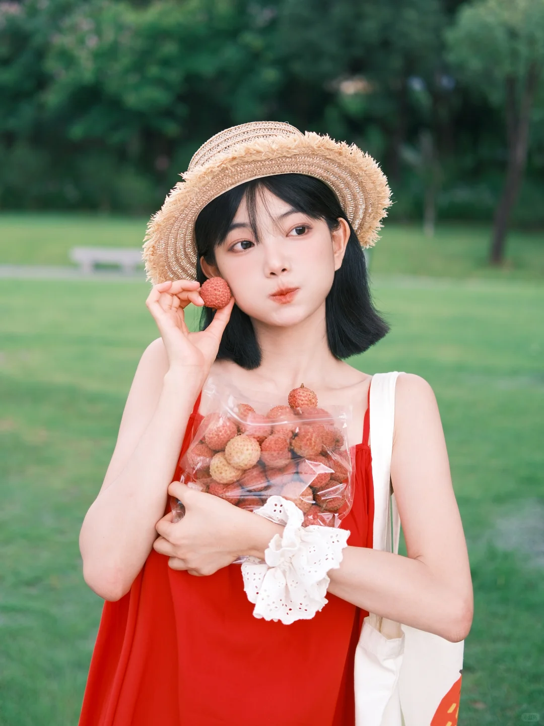 荔枝红了 夏天才算真正到来呀 ᐝ ꙳