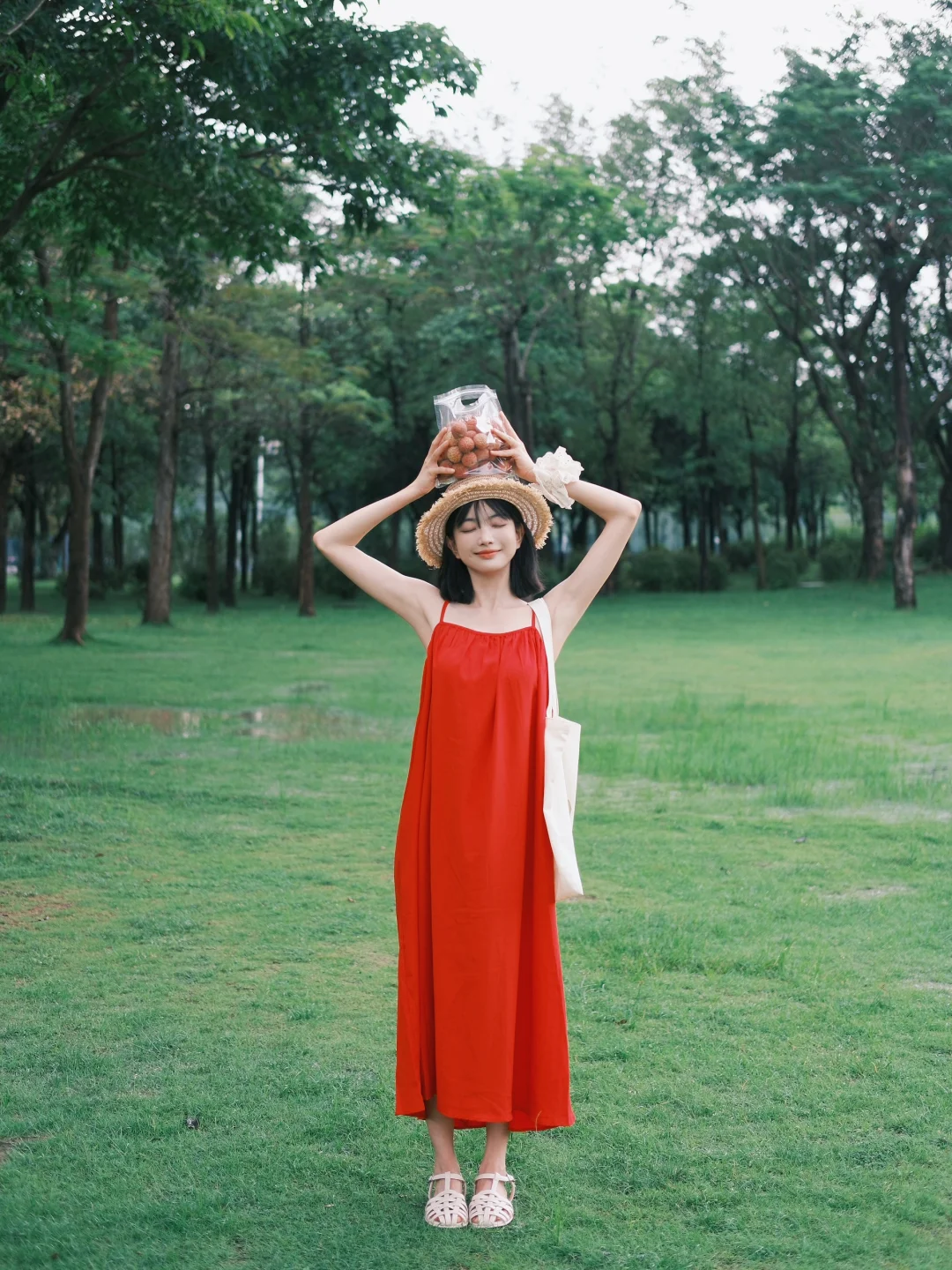 荔枝红了 夏天才算真正到来呀 ᐝ ꙳