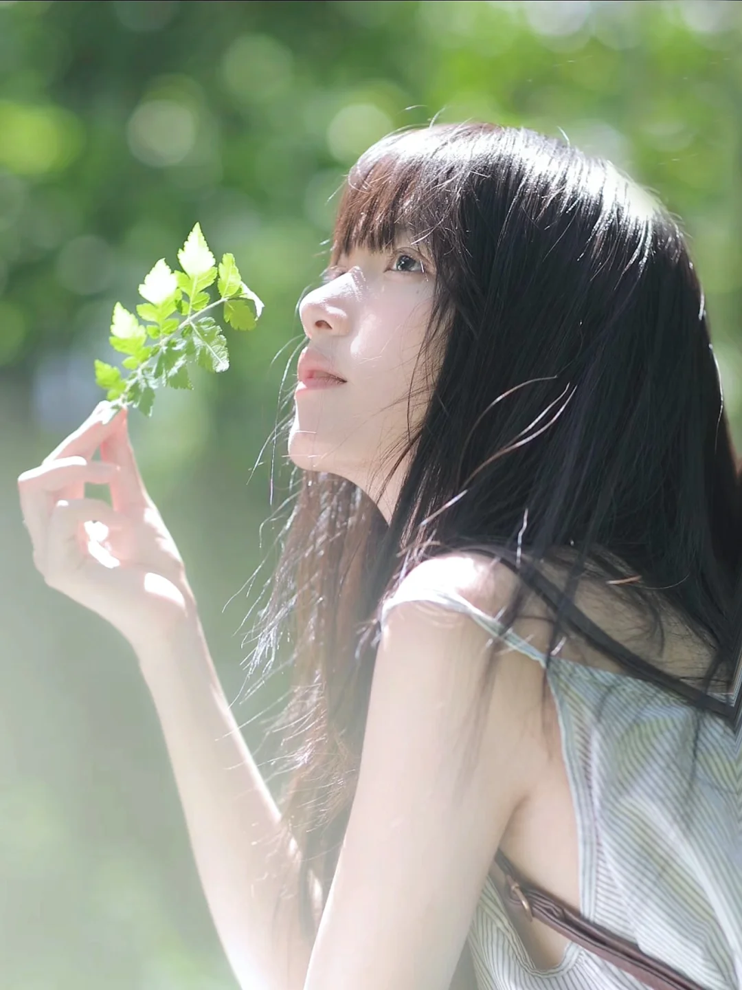 被阳光晒透的夏天 🍃