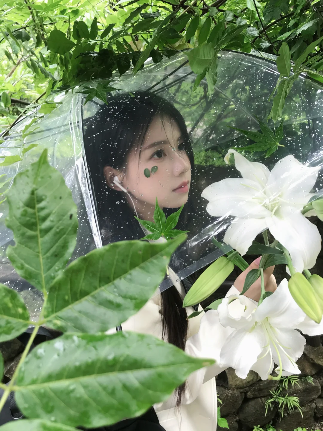 “淅淅沥沥的潮湿雨季”🍃