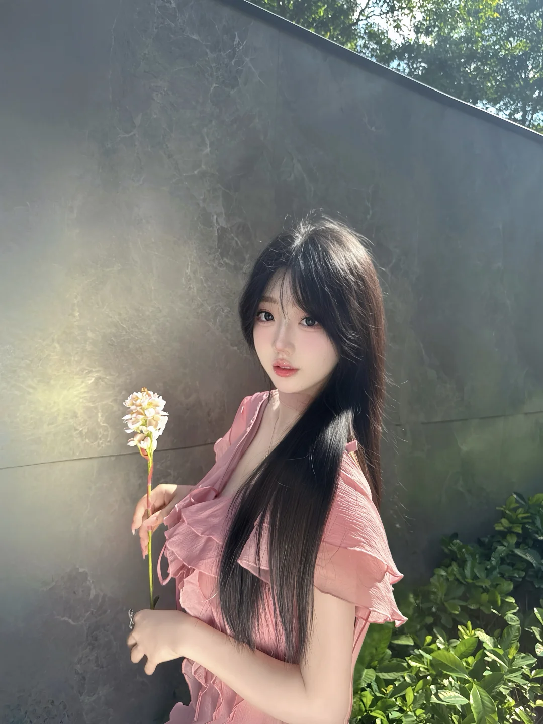 (｡･ω･｡)、阳光明媚☀️
