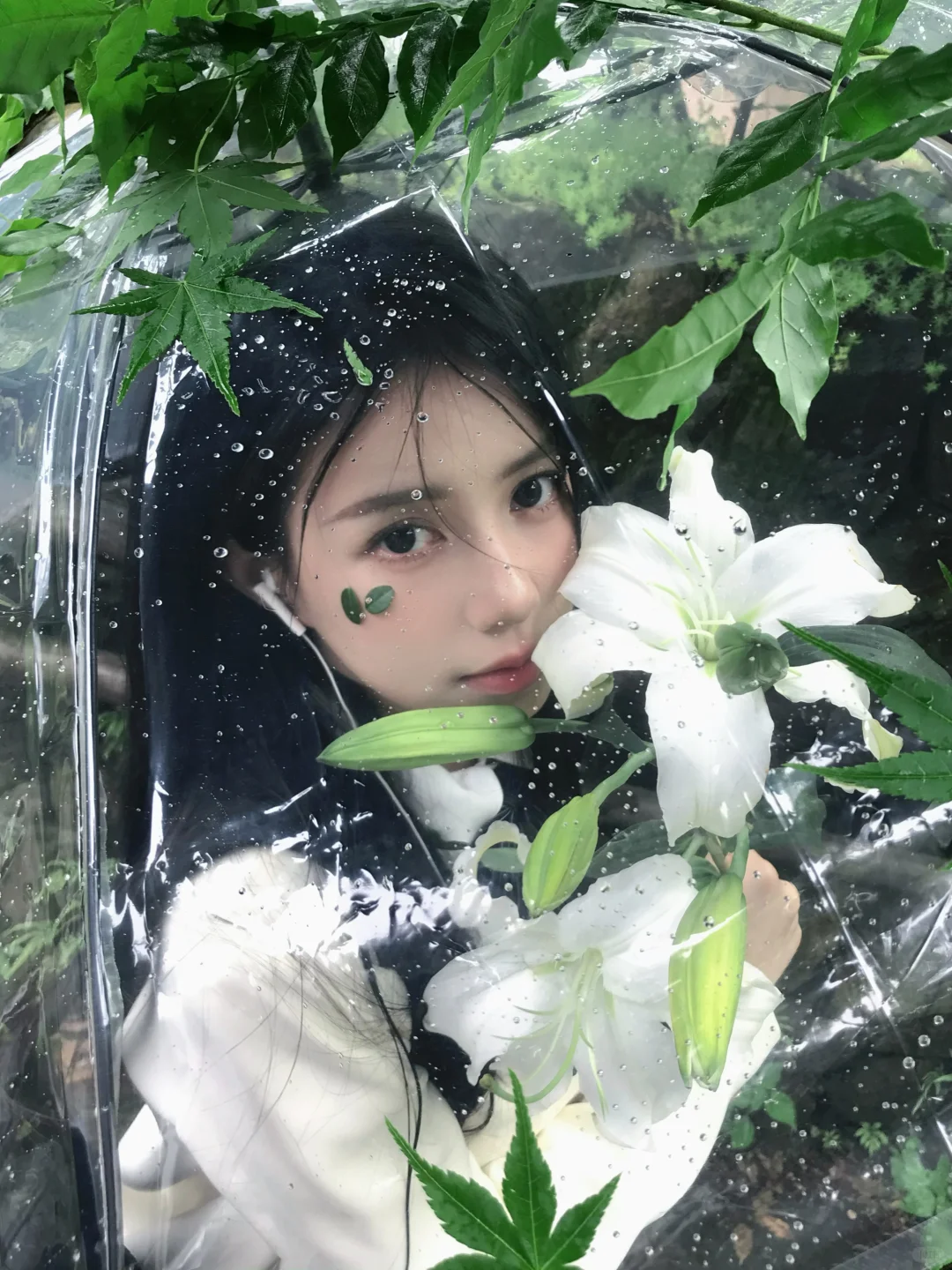 “淅淅沥沥的潮湿雨季”🍃
