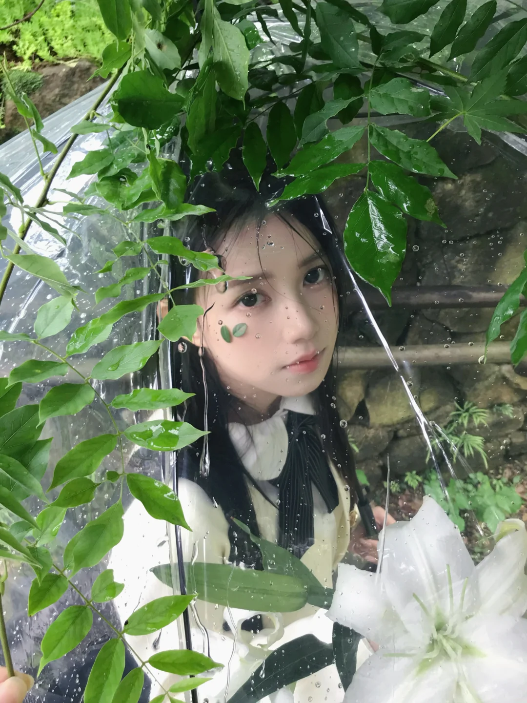 “淅淅沥沥的潮湿雨季”🍃