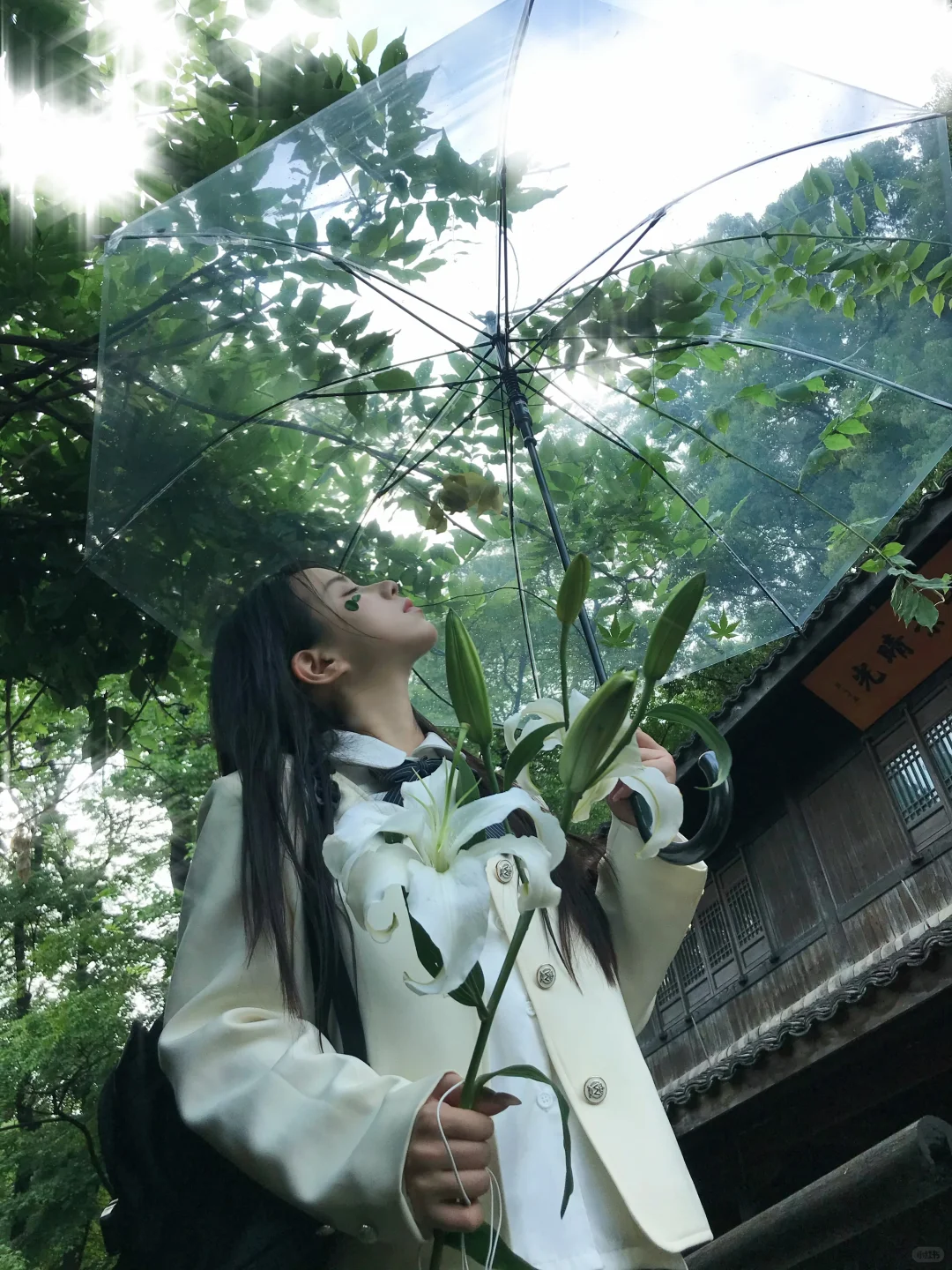 “淅淅沥沥的潮湿雨季”🍃