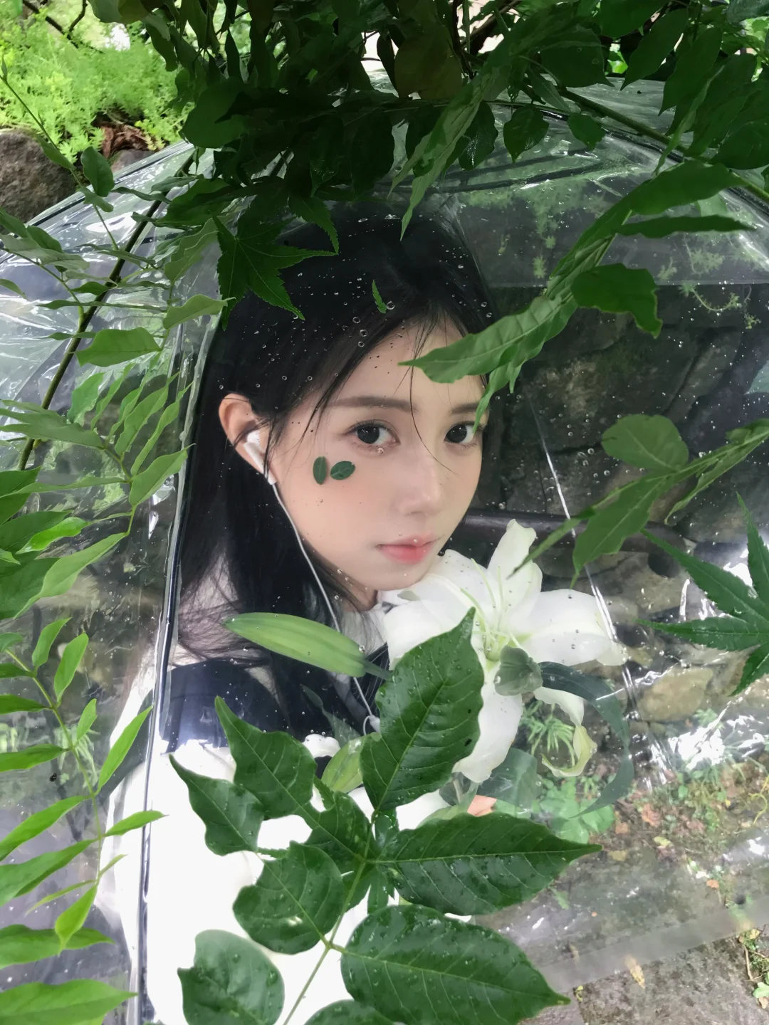 “淅淅沥沥的潮湿雨季”🍃