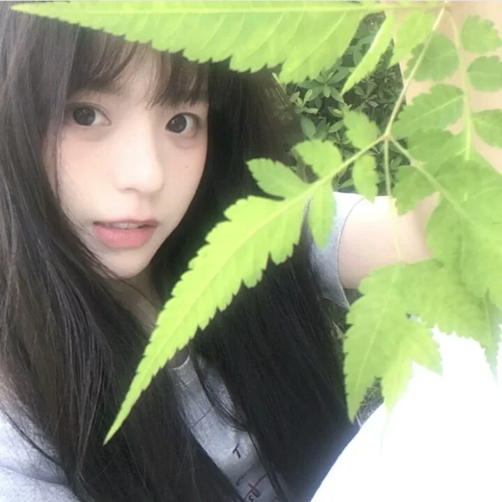 💚夏日來信／✉ ⊹˚清新女头🍀🍃