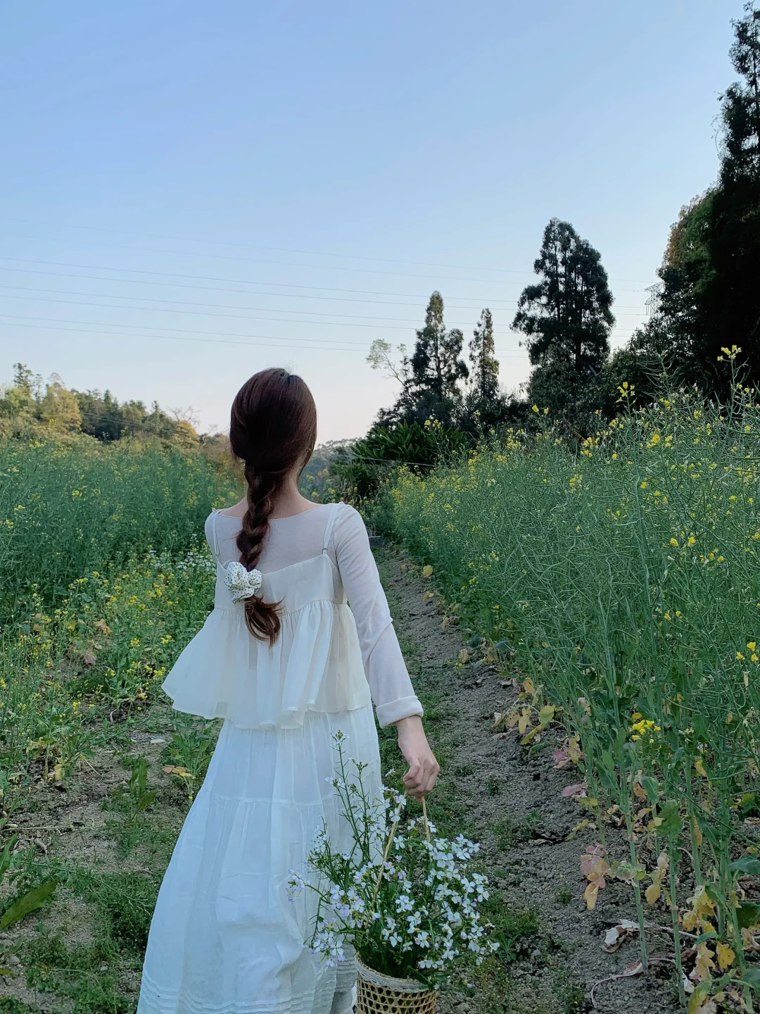 🪴🕊️ ₊ ⊹❀