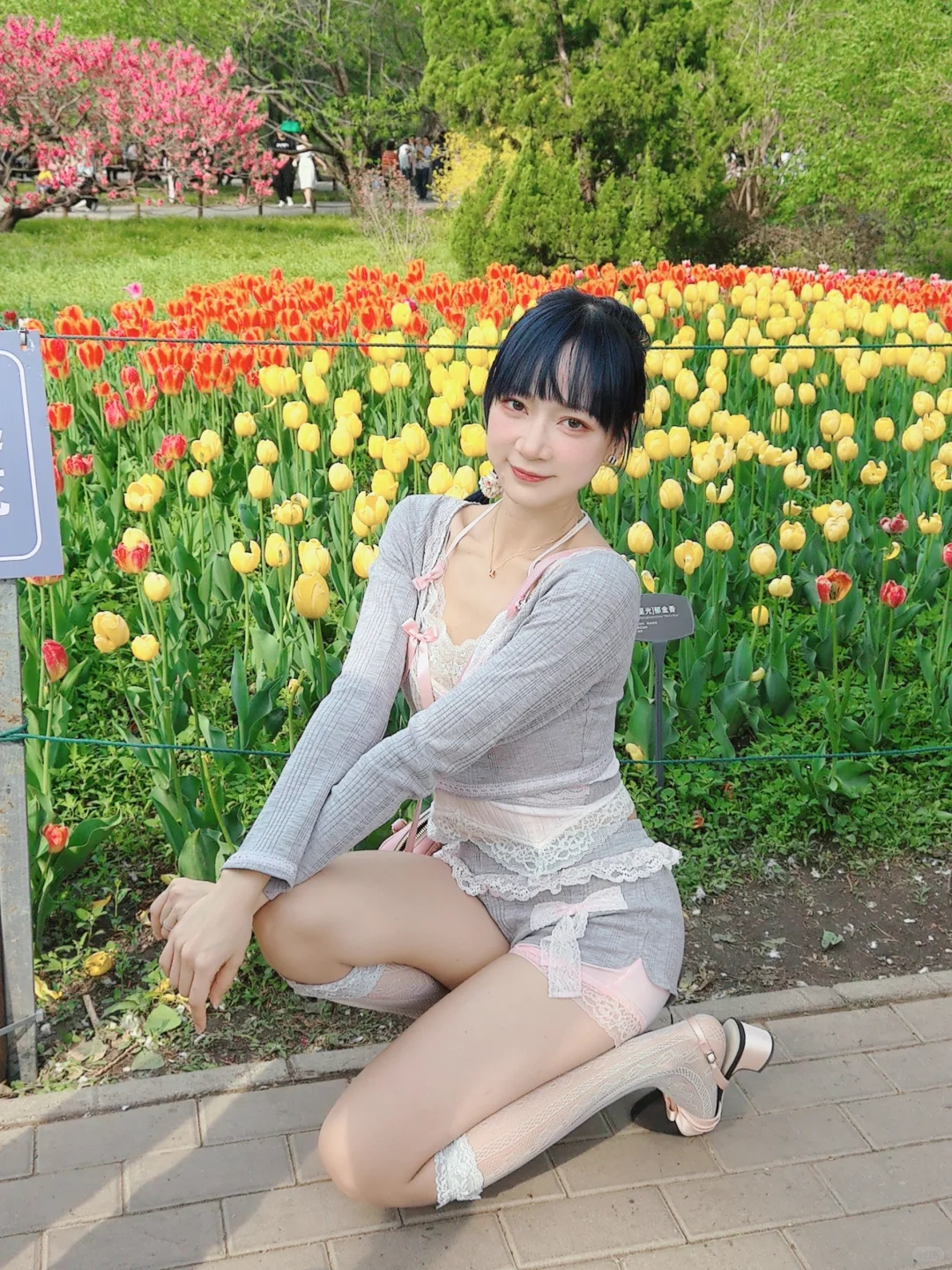 灰色芭蕾甜欲@国家植物园郁金香