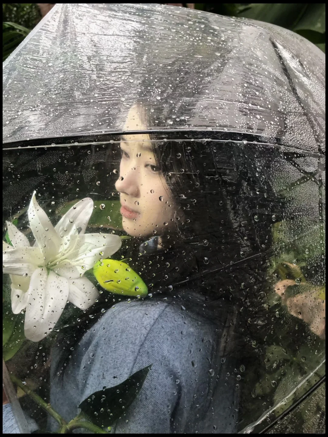 头像share｜春日生命力头像🌿