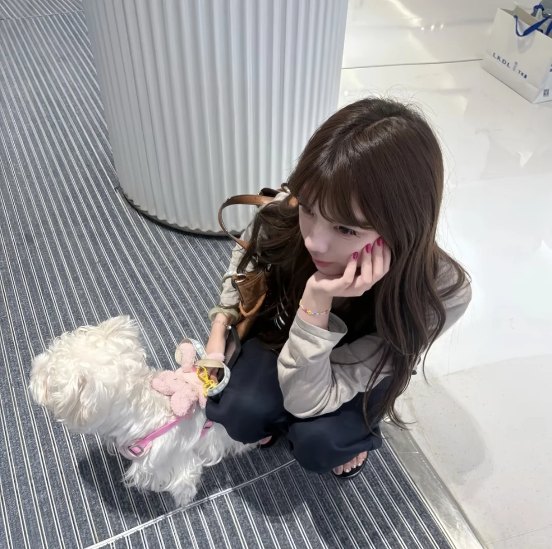 𝙒𝙚𝘾𝙝𝙖𝙩丨女头合集