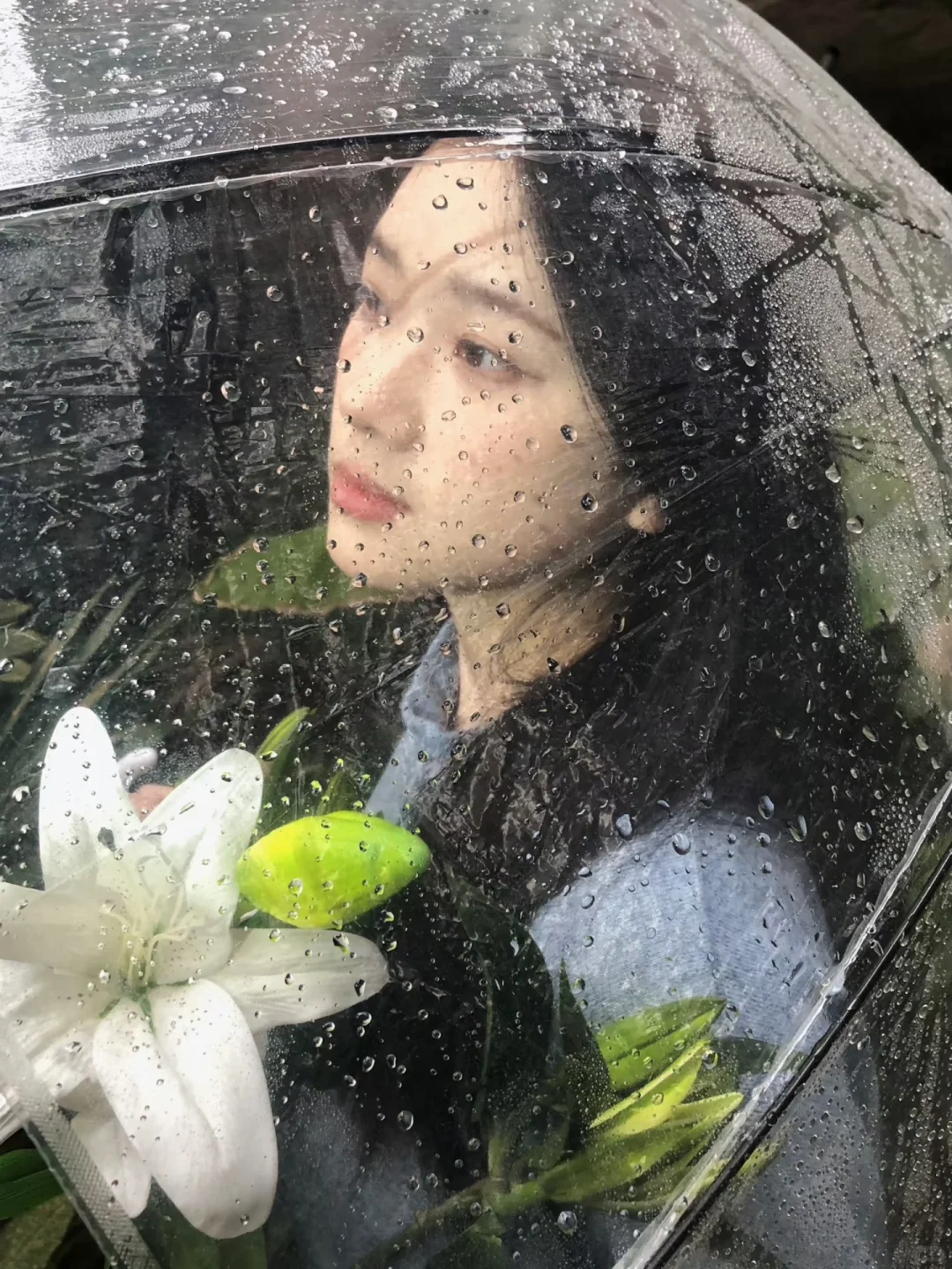 头像share｜春日生命力头像🌿