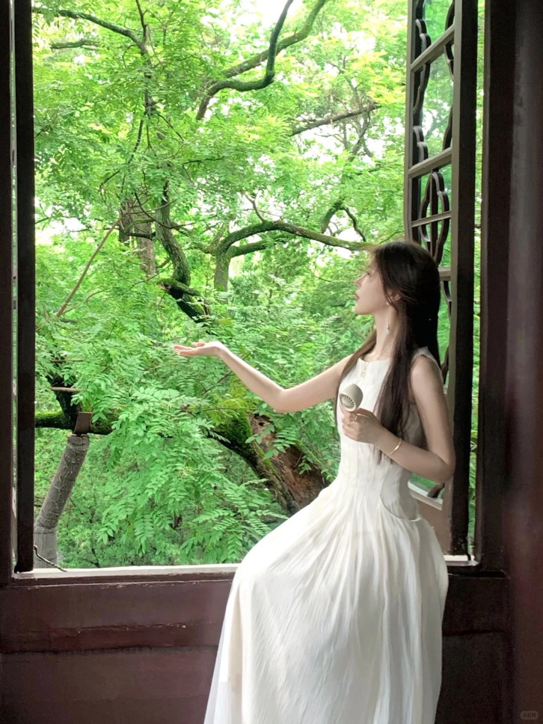 盛夏与蝉鸣🍃