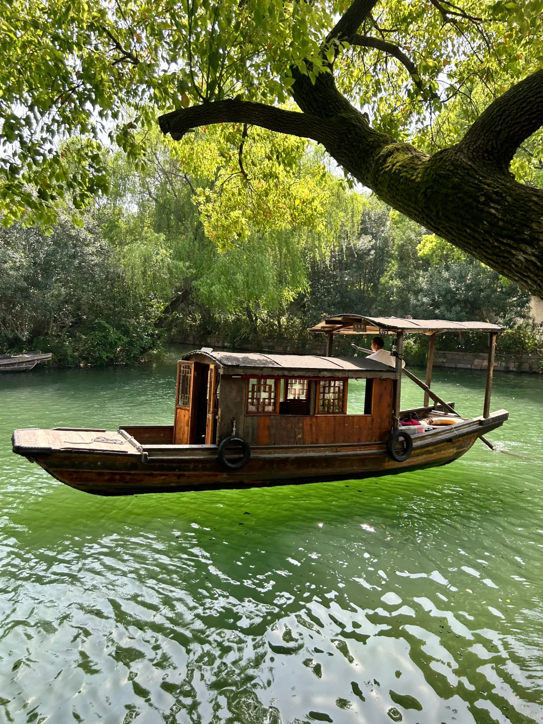盛夏与蝉鸣🍃