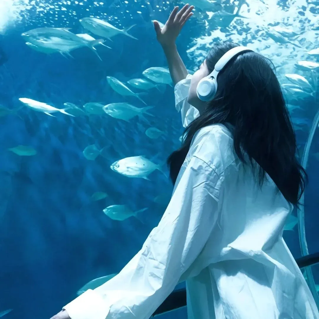💙𝙒𝙚𝘾𝙝𝙖𝙩女头🫧