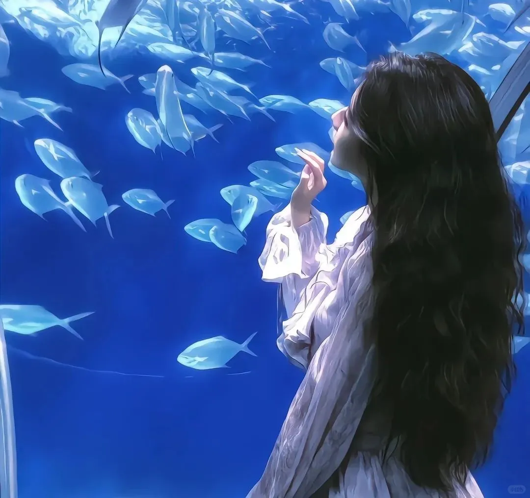 💙𝙒𝙚𝘾𝙝𝙖𝙩女头🫧
