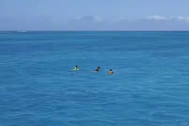 孙俪晒一家四口度假，穿泳衣尽显好身材，等等