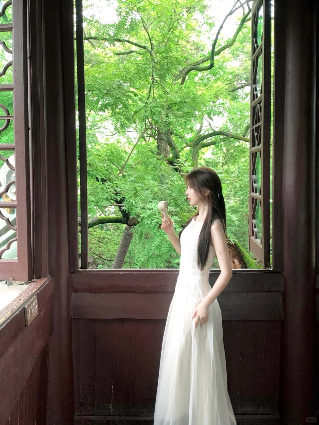 盛夏与蝉鸣🍃