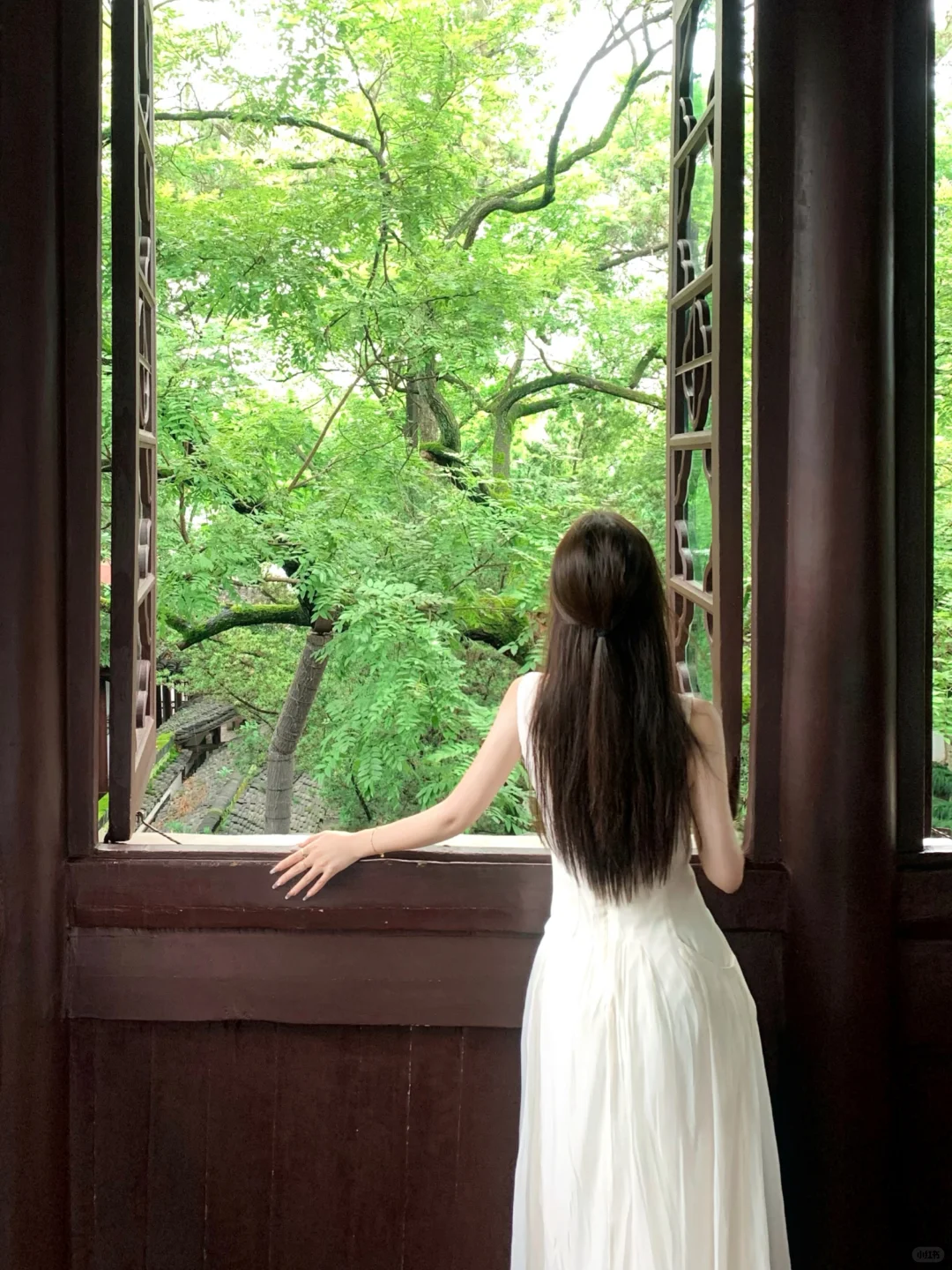 盛夏与蝉鸣🍃