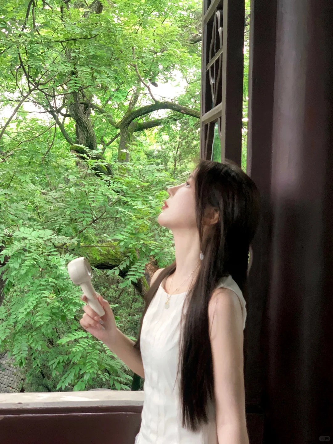 盛夏与蝉鸣🍃
