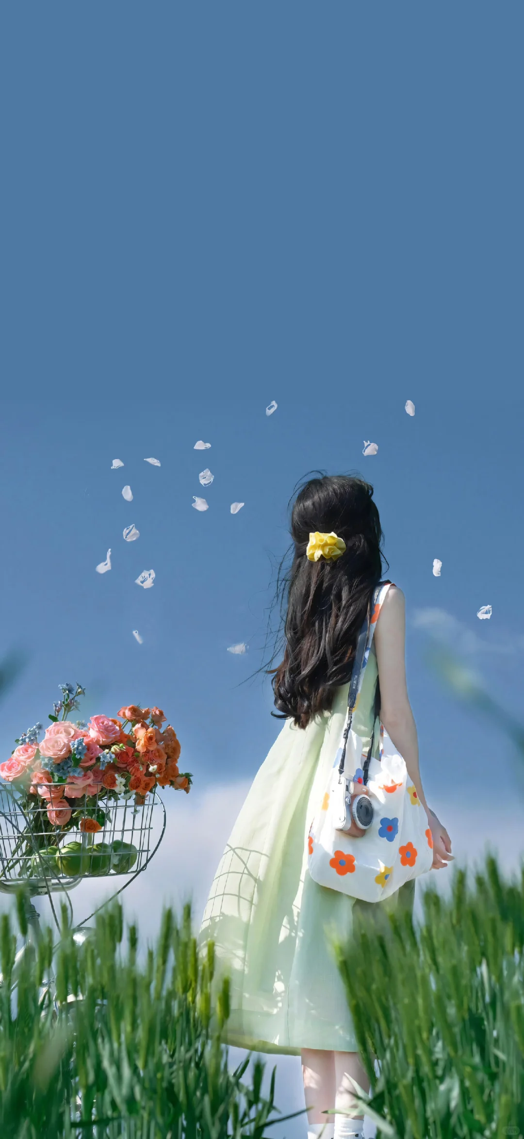 清新甜美女孩壁纸🌈